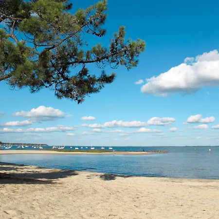 Les Grands Pins-3 By Interhome 公寓 卡尔康