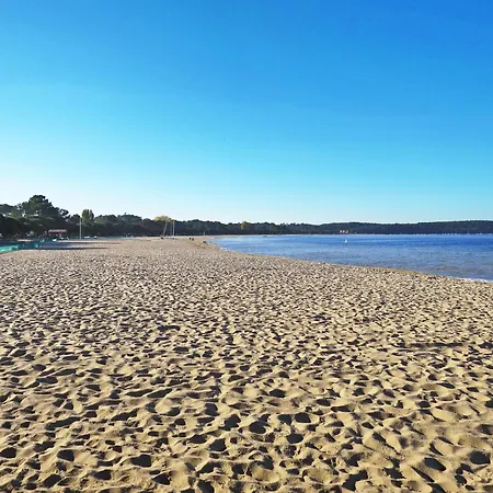 公寓 Les Grands Pins-3 By Interhome