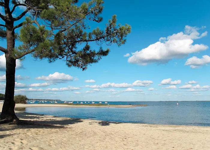 Les Grands Pins-3 By Interhome 아파트 카르캉