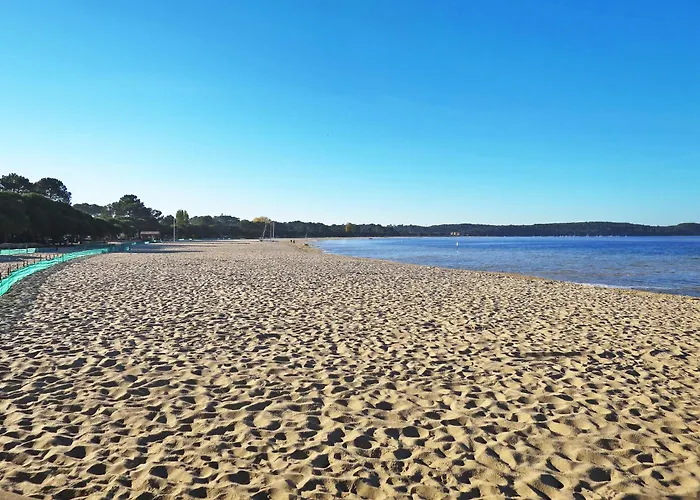 아파트 Les Grands Pins-3 By Interhome